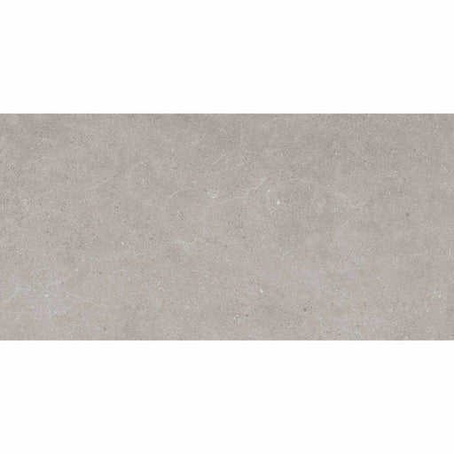 Free sample 60x90cm Elements Grey Outdoor Porcelain tile-sample-sample-Tile.co.uk