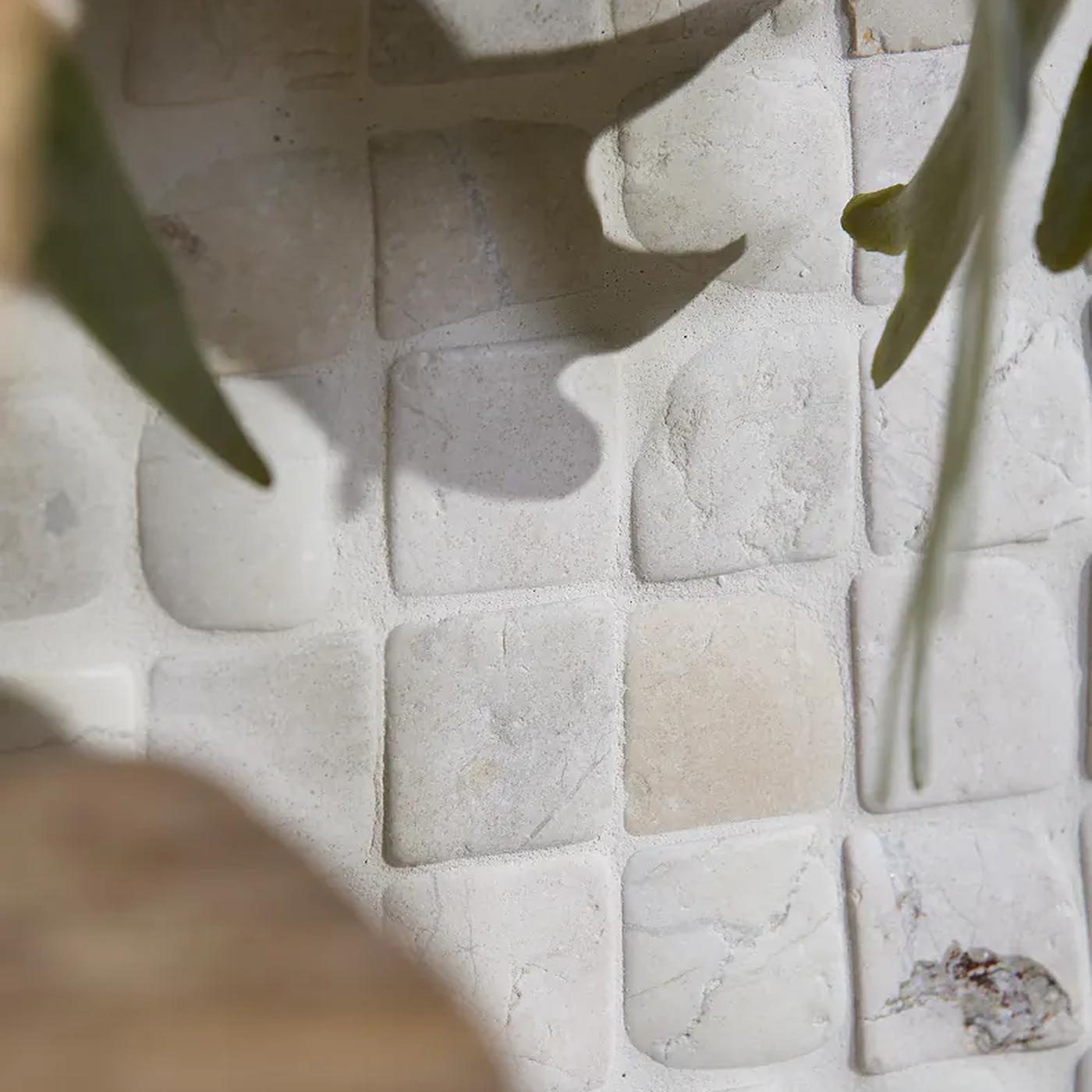 Image of Close-up of a textured mosaic tile wall in warm off-white and cream tones, with soft plant leaves and shadows partially framing the scene.