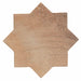 Paid Sample - Fez Cotto Star FULL tile - Delivered separately by Ca Pietra-sample-sample-tile.co.uk