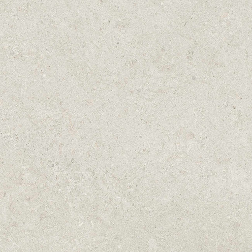 Free Sample Swatch Rimini Ash 60x60-sample-sample-Tile.co.uk