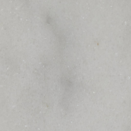Long Island Marble Honed 10 x 10cm-Marble-Ca Pietra-Tile.co.uk