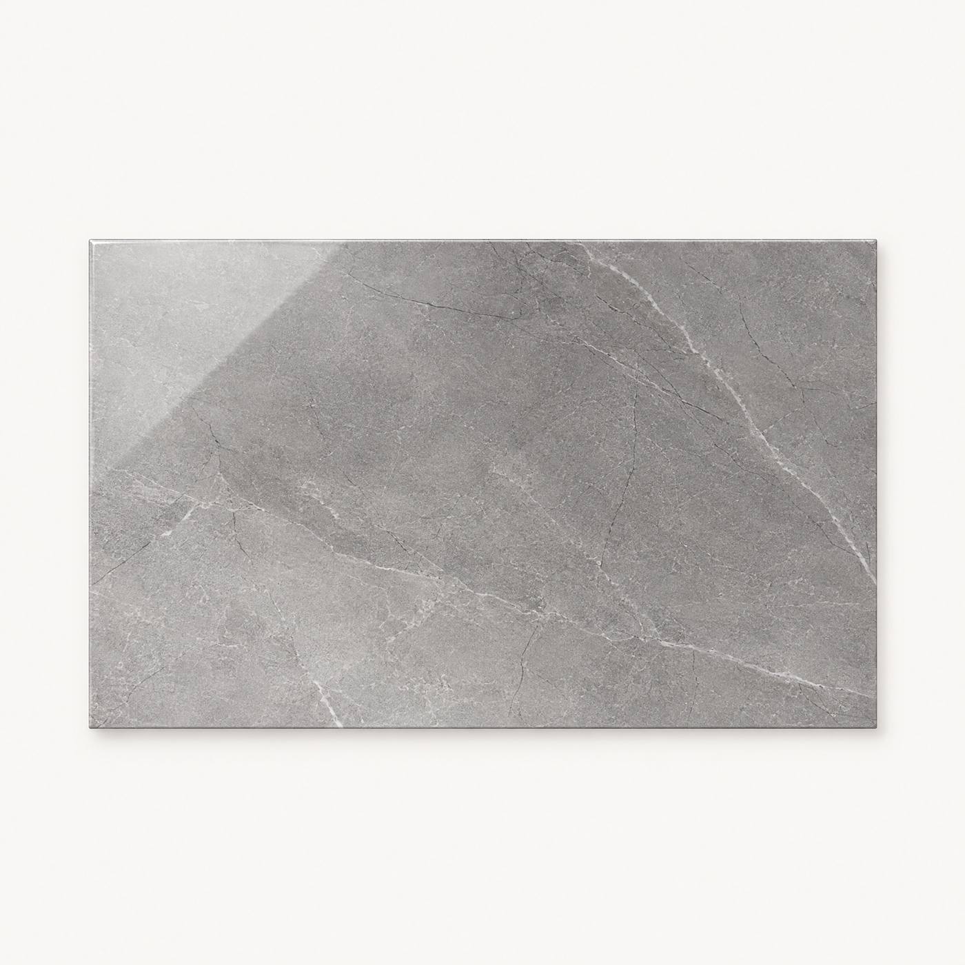 Image of A rectangular gray stone-look tile with natural white veining, displayed against a clean off-white background.