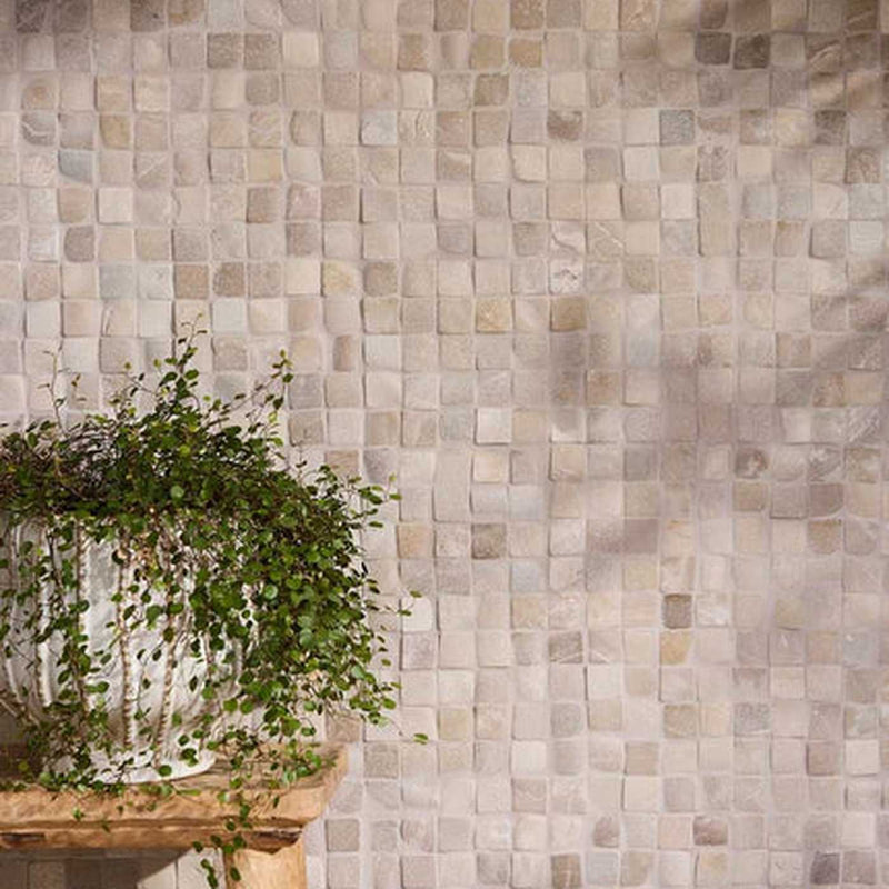 Image of Beige and light brown square mosaic tile wall with a potted trailing green plant on a wooden ledge in the lower left corner.