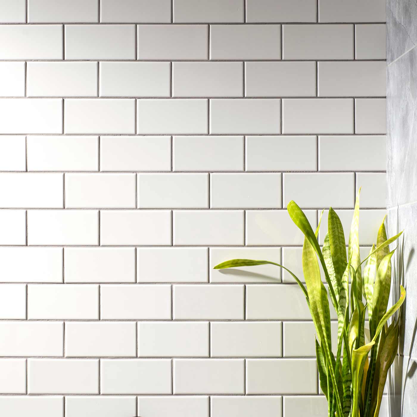 Image of Brilliant White Half Tile 15.2x7.5cm-Ceramic wall tile-Original Style-Tile.co.uk