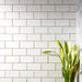 Brilliant White Half Tile 15.2x7.5cm-Ceramic wall tile-Original Style-Tile.co.uk