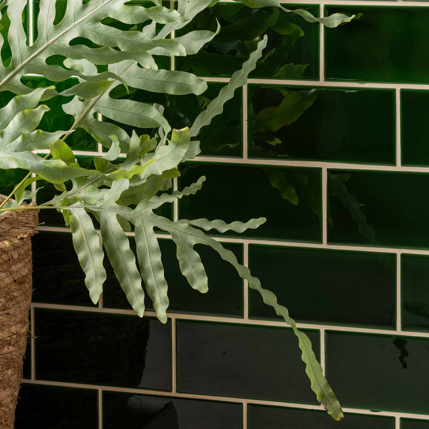 Image of Victorian Green Half Tile 15.2x7.5cm-Ceramic wall tile-Original Style-Tile.co.uk