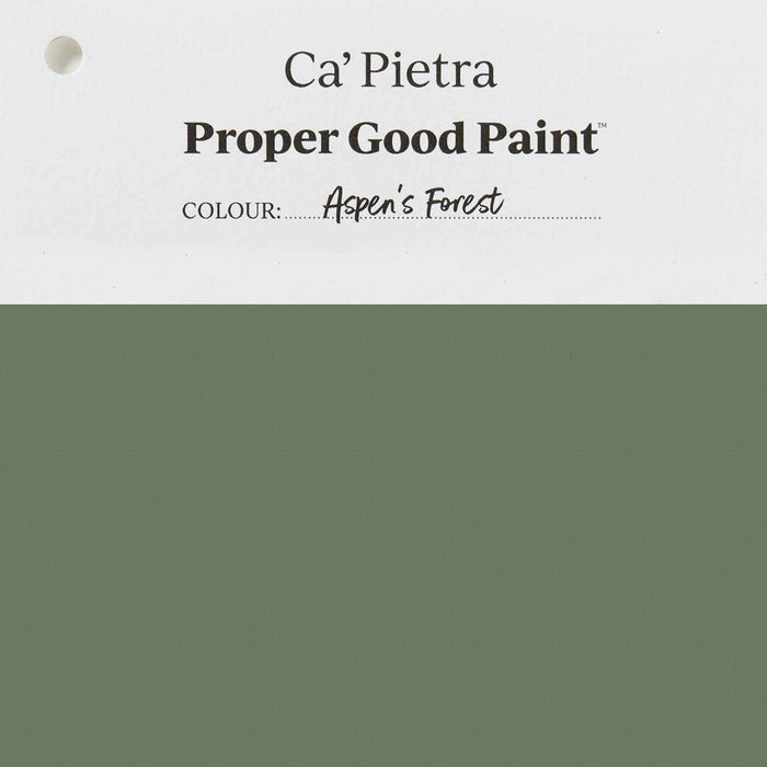 Ca Pietra Aspen's Forest Proper Good Paint-Paint-Ca Pietra-tile.co.uk