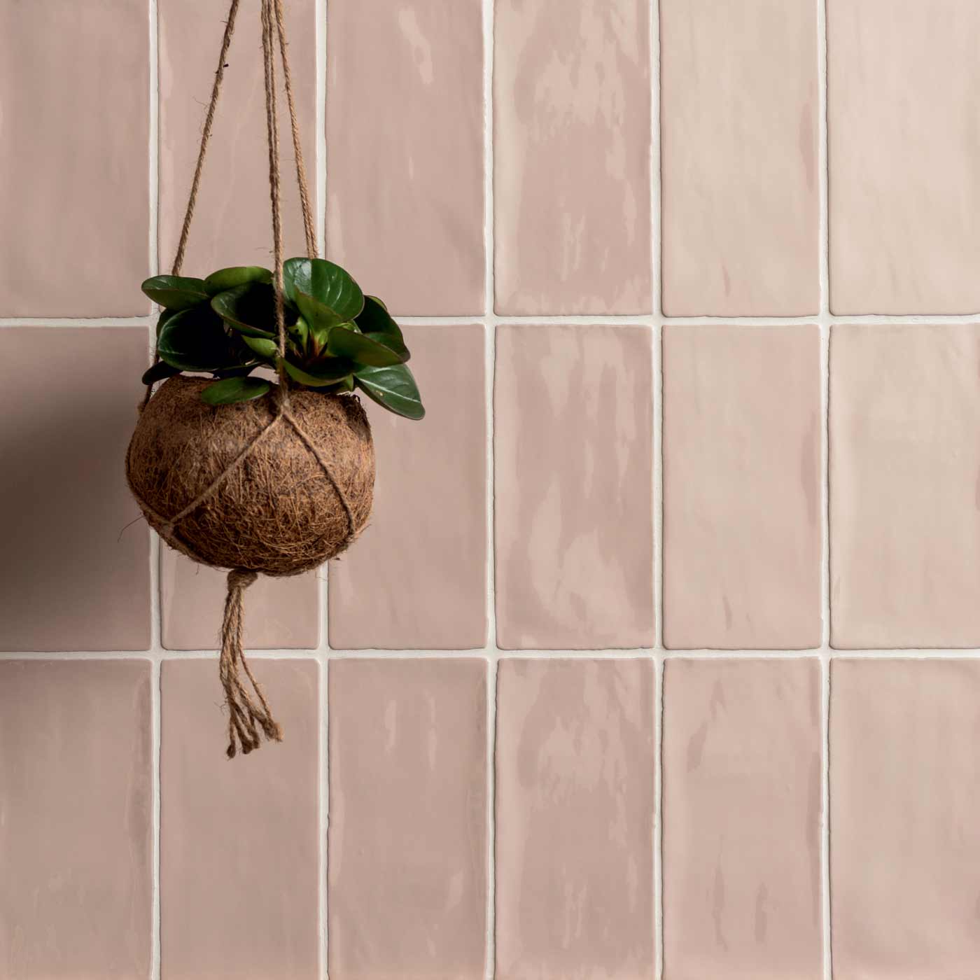 Image of Anemone Field wall tile 13x13cm-Ceramic wall tile-Original Style-tile.co.uk