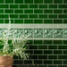 Berkeley Jade Breeze on Victorian Green Tile 15.2x15.2cm-Ceramic Tiles-Original Style-Tile.co.uk