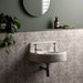 Bathroom with a wall-mounted sink, decorative tiles, and a plant.