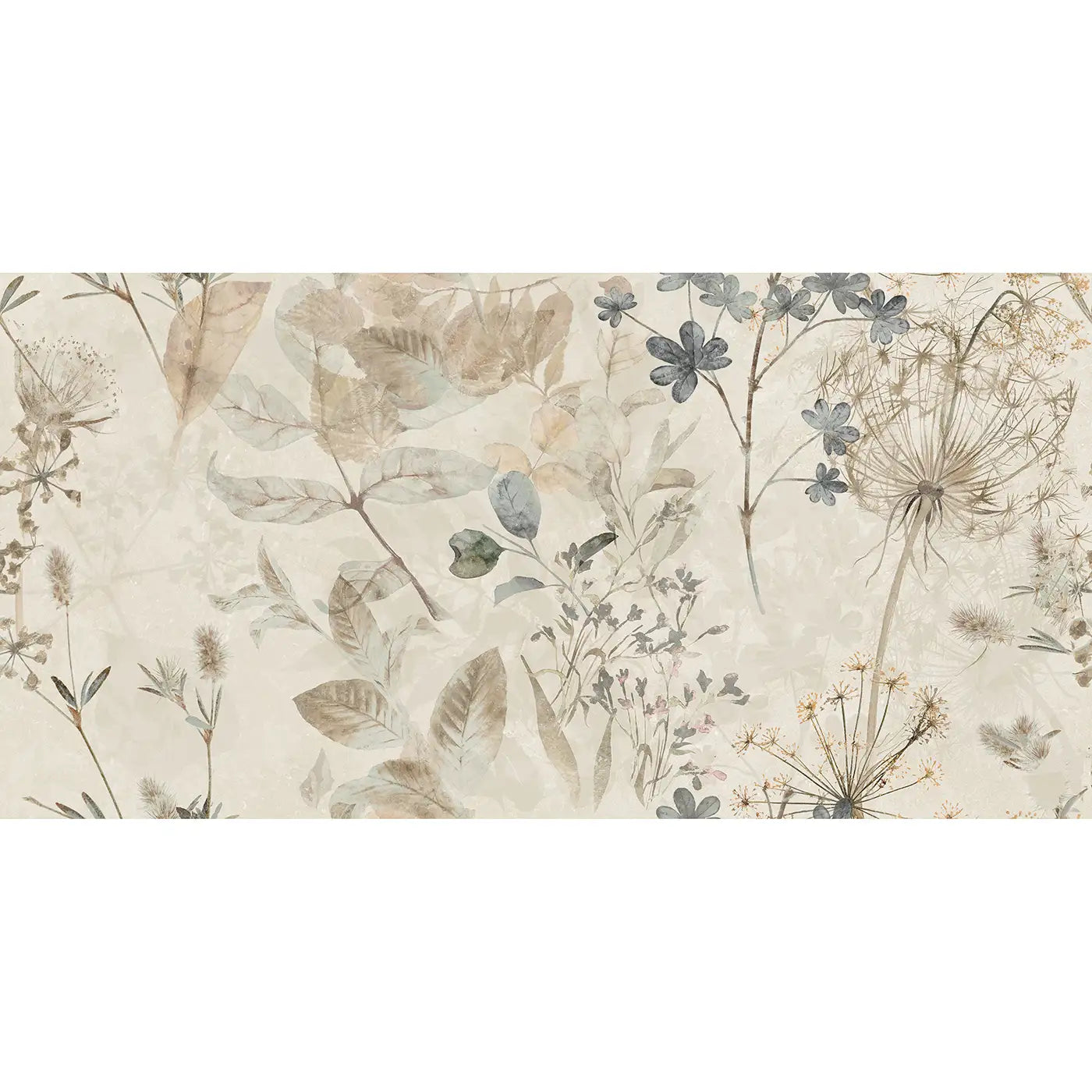 Image of Breeze Cream Decor 30x60cm-Ceramic wall tile-Stargres-Tile.co.uk