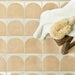 Menara Cotto Arches Porcelain - 15 x 15 x 0.8cm-Ca Pietra-Tile.co.uk