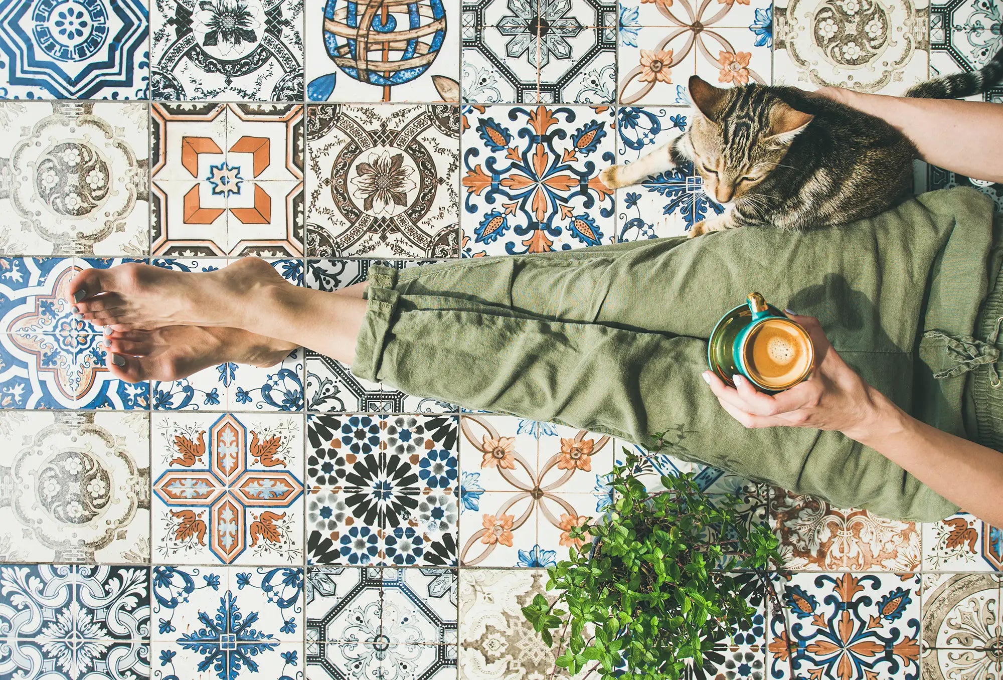 nikea pattern tiles with a cat and owner sat down
