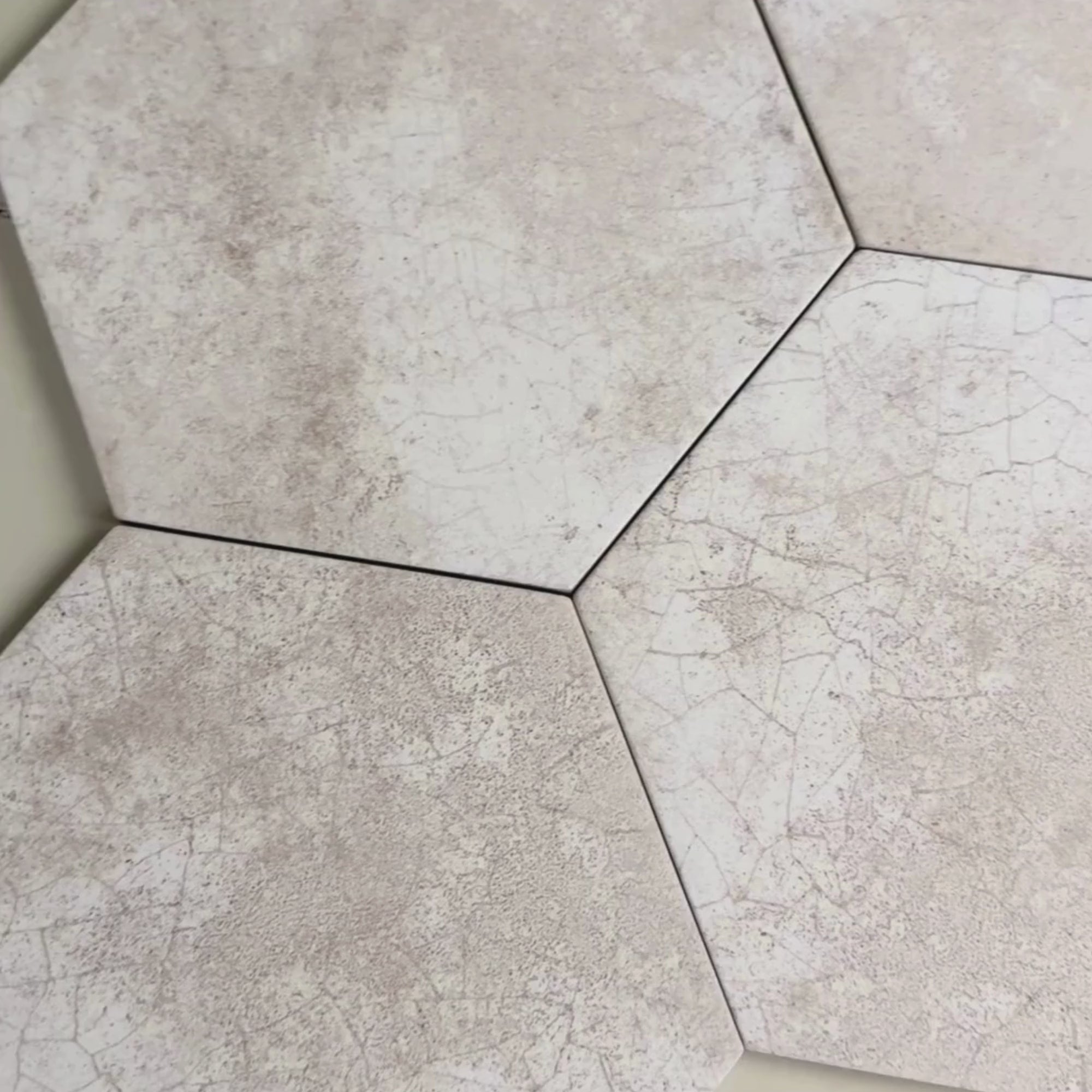 Image of Botanical Taupe Plain Hex