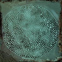 Image of Carlo Jade-B 20x20cm-Ceramic wall tile-Vives ceramica-tile.co.uk