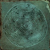Image of Carlo Jade-B 20x20cm-Ceramic wall tile-Vives ceramica-tile.co.uk