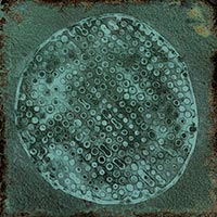 Image of Carlo Jade-B 20x20cm-Ceramic wall tile-Vives ceramica-tile.co.uk