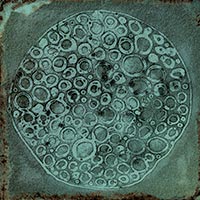 Image of Carlo Jade-B 20x20cm-Ceramic wall tile-Vives ceramica-tile.co.uk