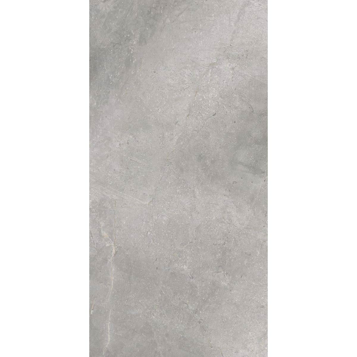 Image of Wonderlust Silver tile 60x120cm-Large format-Cerrad-tile.co.uk